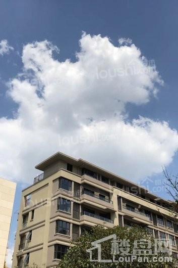 华润万橡府：少荃湖南岸，低密度洋房