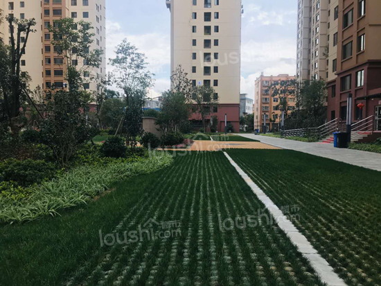 云南最适合“养老度假”的地方，一年四季如春，物价比丽江、大理便宜很多！