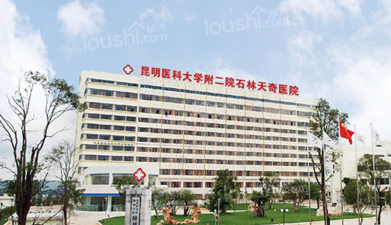 2020年，云南石林可能将成为武汉人旅居置业新热点！