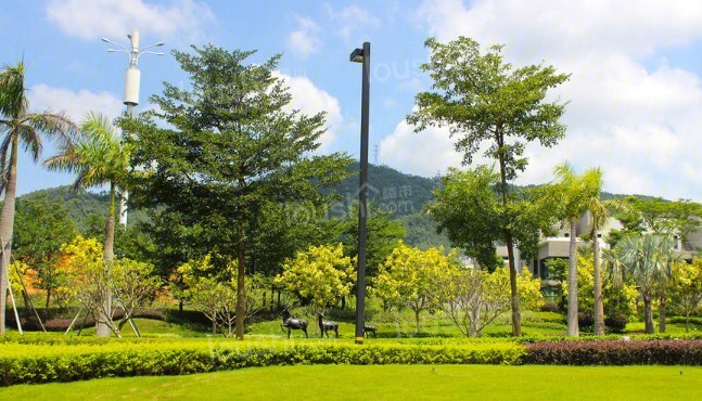惠州雅居乐花园实景图