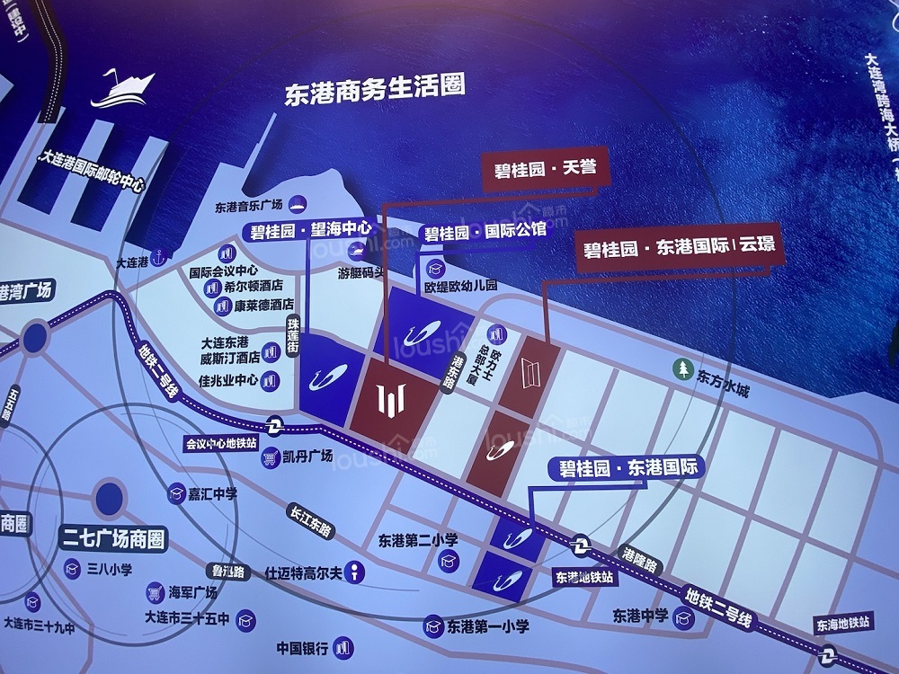 碧桂园望海中心位置图