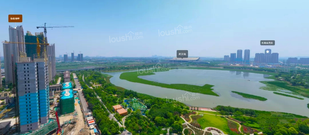 万科东湖堤白实景图