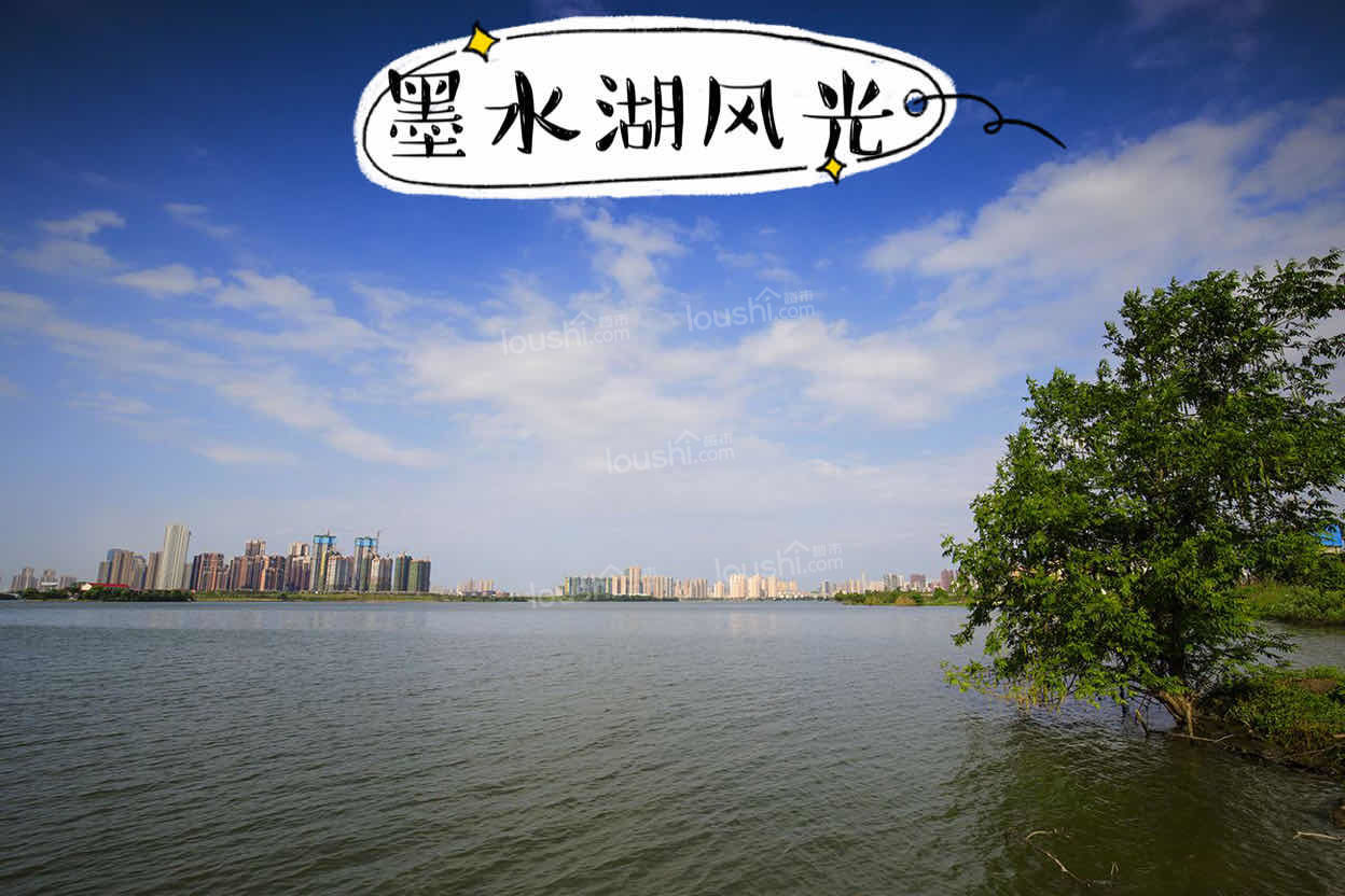 中国铁建御湖实景图