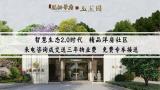 效果图