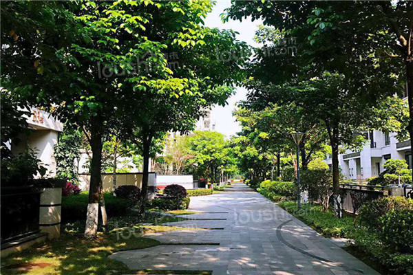 珠江东境花园实景图