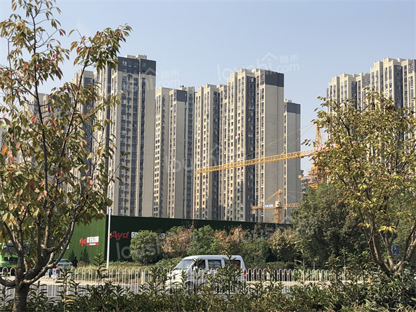 鹏湖湾好不好?有什么优势?-武汉楼市网