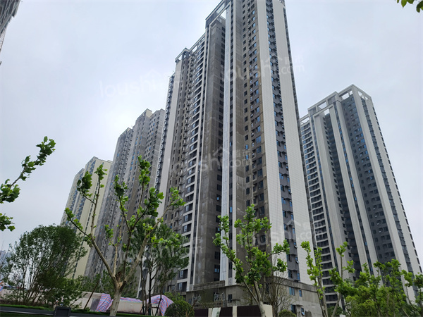 中建星光城_武汉中建星光城楼盘_价格_楼盘详情-武汉楼市网