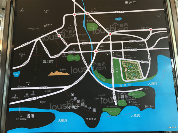 惠州大亚湾区在售宜居美宅推荐：配套丰富，交通便利！
