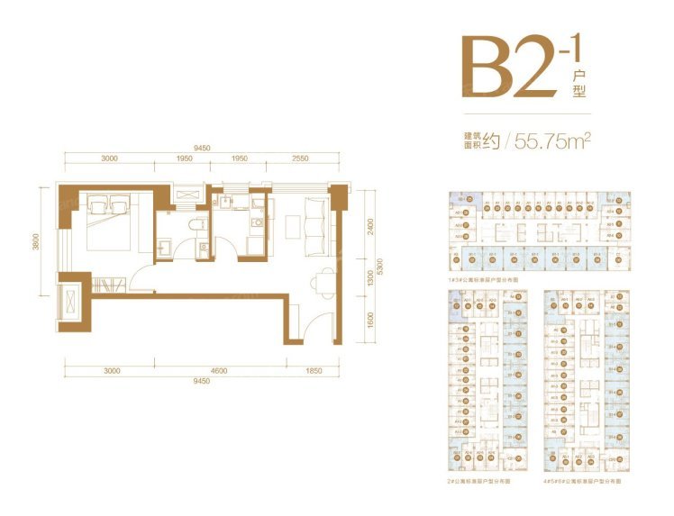 公寓B2户型