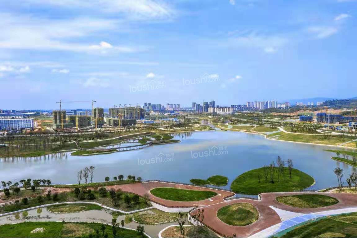 天府新区视高片区热门板块 紫金天府城-眉山楼市网