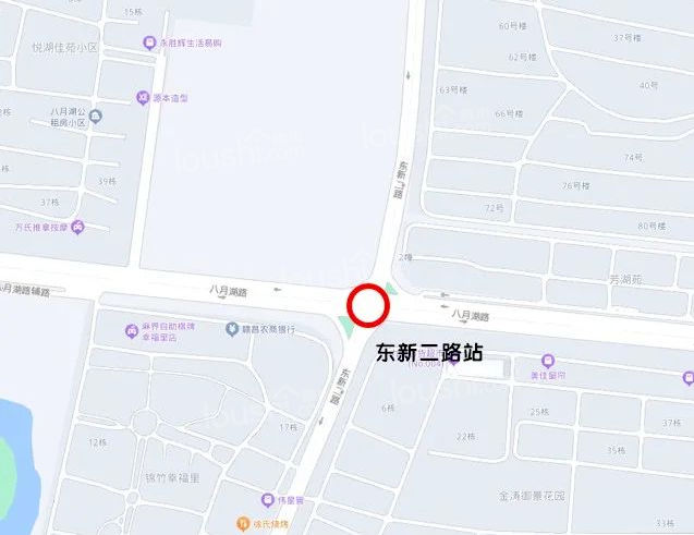 南昌地铁6号线象湖新城段站点预测，嘉福新天地区位优势分析