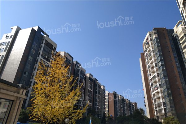 上海加强商品住房销售监管 加大中介机构专项整治力度