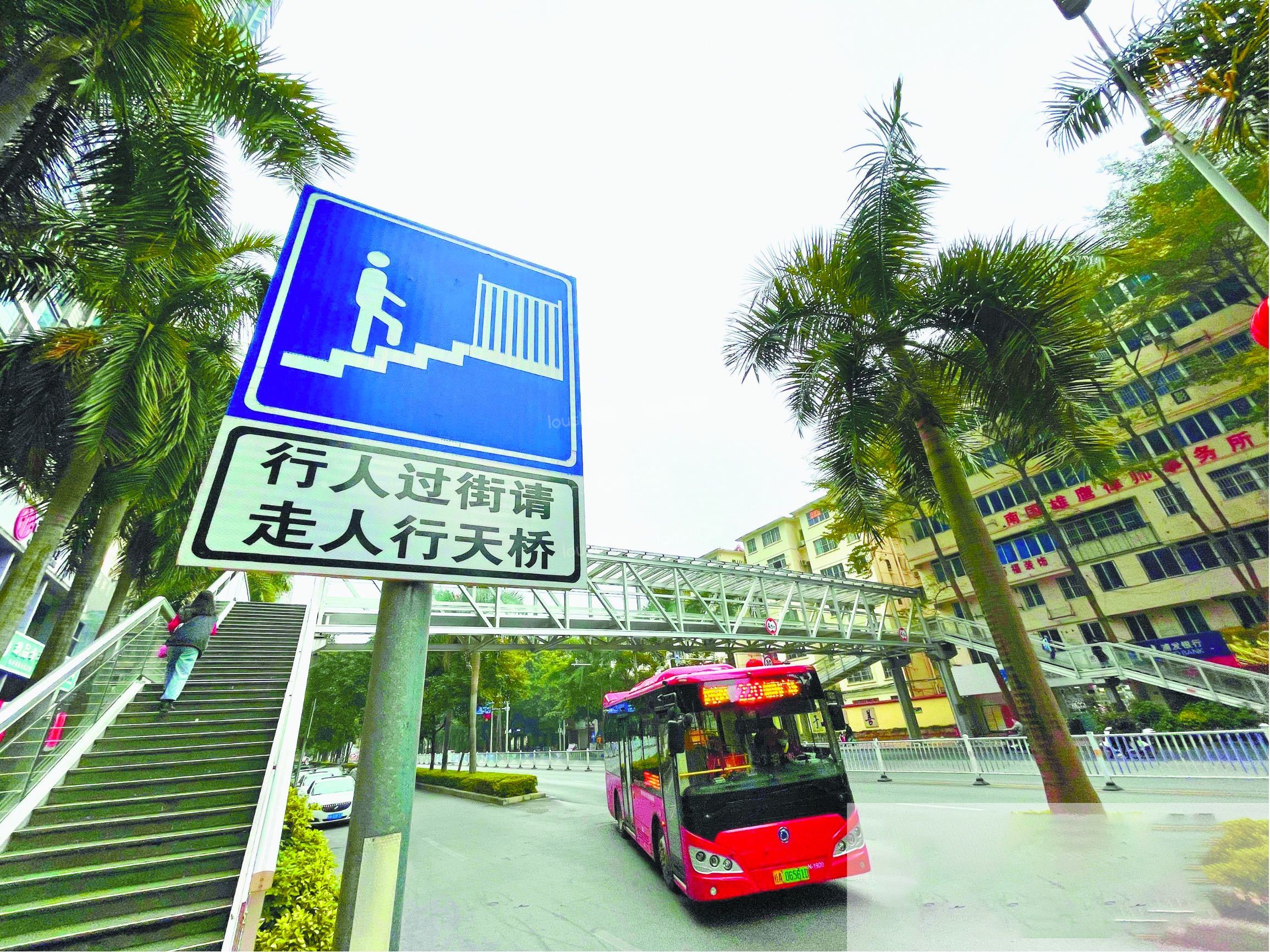 南宁：建议开通新公交线路 放宽公租房申请条件