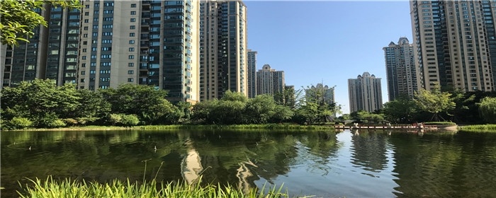 买房佣金什么时候付给中介