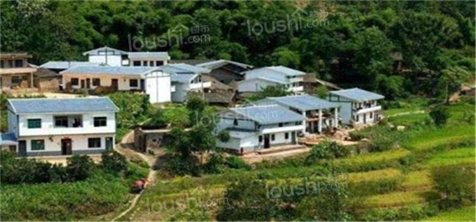 农村土地被强行占用找哪个部门投诉