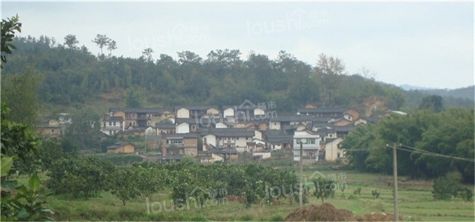 宅基地征收如何补偿