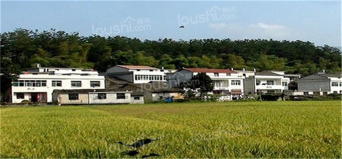商用土地和住宅土地用途有何区别