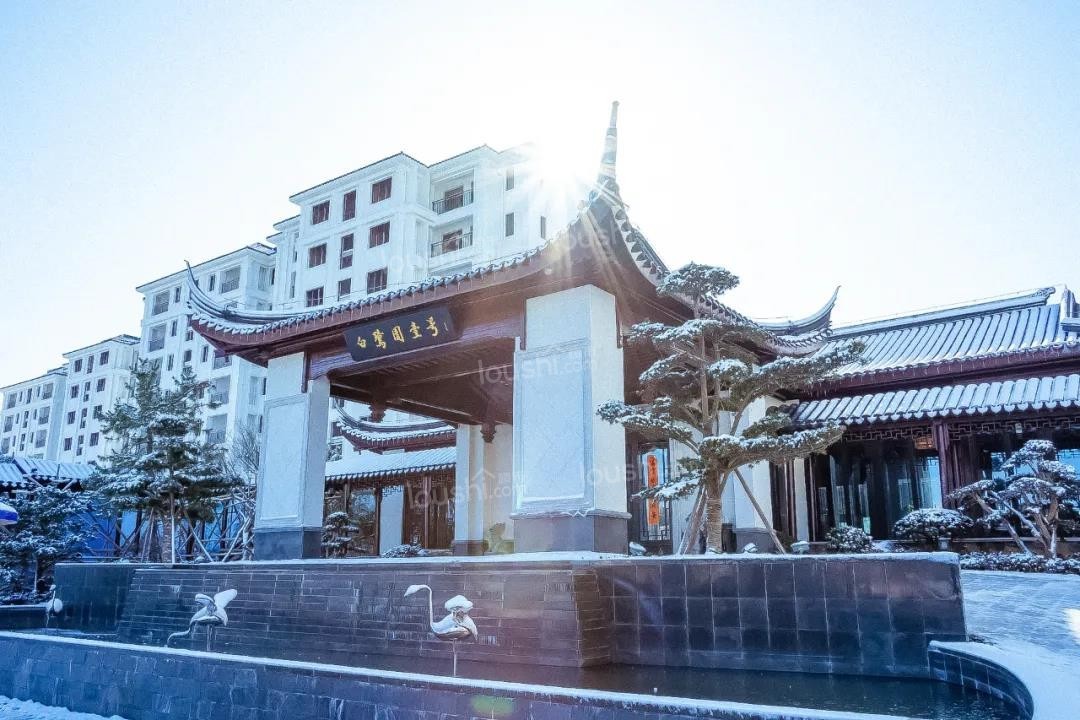 白鹭园壹号 | 南山之冬,时光打翻了调色盘-六安楼市网